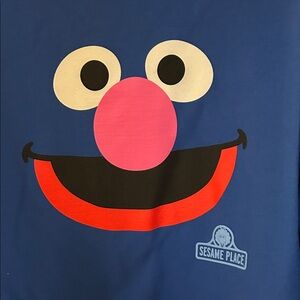 Sesame Place Blue Grover Face Hoodie